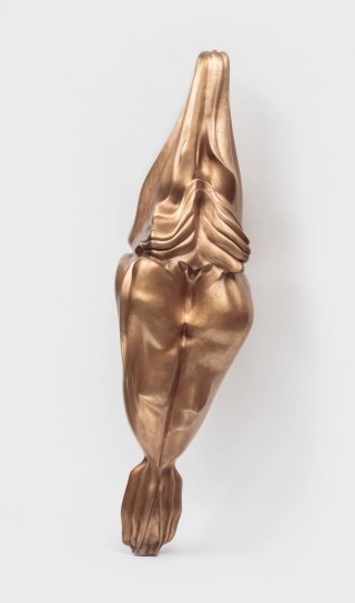 Marguerite Humeau, Superior Oneness, A 70-year-old female human has ingested an alligator's brain, 2018.