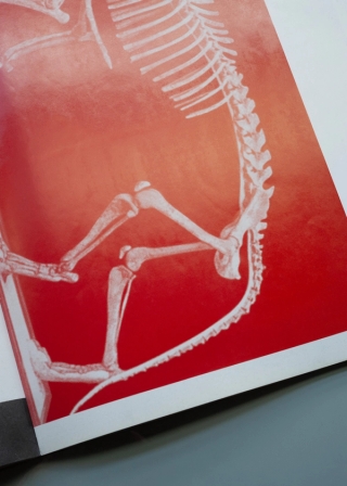 Marguerite Humeau, The Opera of Prehistoric Creatures, 2011