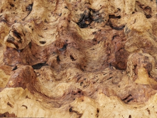 Marguerite Humeau, Fallen Leaf V, 2023.