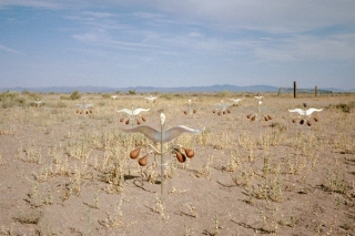 Marguerite Humeau, Orisons, 2023.