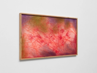 Marguerite Humeau, Study for a Fungus Garden I, 2023.