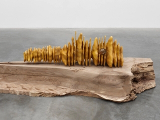 Marguerite Humeau, The Honey Holder, 2023.