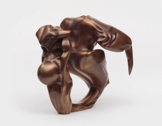 Marguerite Humeau, Two-Headed Venus, A 25-year-old pregnant female human and herself as a 90 year-old have ingested a tortoise's brain, 2018.
