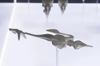 Marguerite Humeau, The Dead, The Dancers, and The Air, A shoal of fish performing a breathing ritual in an attempt to bring their dead back to life, 2022.
