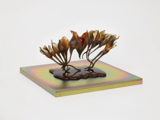 Marguerite Humeau, dead skins, 2024.