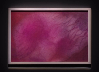 Marguerite Humeau, Energy Flows, 2022. JSP Art Photography.