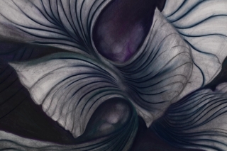 Marguerite Humeau, Common Moonwort, 2022.
