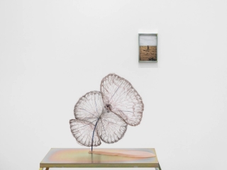 Marguerite Humeau, Dust, 2024. Photo © White Cube (Jeon Byung Cheol).