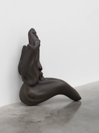 Marguerite Humeau, Venus of Courbet, A 80-year-old female human has ingested the brain of a swallow, 2018.