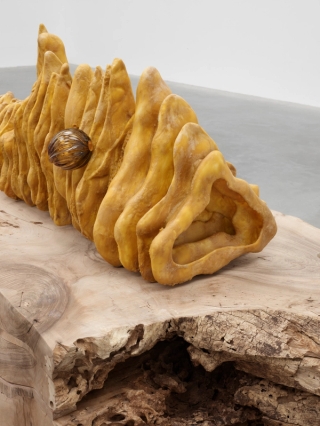 Marguerite Humeau, The Honey Holder, 2023.