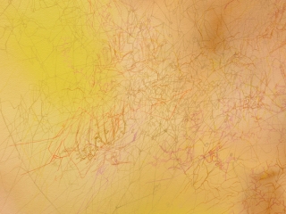 Marguerite Humeau, Ghost map I, I drew: the traces of deers seen from satellites forming constellations. Have deers been draw-ing stars? I drew: holes and tiny leg foot prints I observed on the surface of the land. I drew: imagined burrows of voles, pocket gophers, ground squirrels and prairie dogs. The golden light, the fatigued soil, eroded and depressed (variations). Traces of machinery observed from satellites. Other traces of unidentified presences., 2022.
