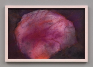 Marguerite Humeau, Fungi Decomposing a Leaf II, 2022.