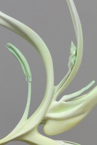 Marguerite Humeau, Eleusis, The desire to care less about things, to loosen your grip on your life, to hold your life playfully like a volleyball. Inspired by the plant Fumaria that bears the signature of blood vessels and supports blood activation., 2022.