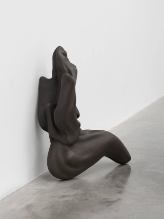 Marguerite Humeau, Venus of Courbet, A 80-year-old female human has ingested the brain of a swallow, 2018.