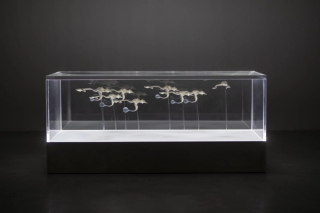 Marguerite Humeau, The Dead, The Dancers, and The Air, A shoal of fish performing a breathing ritual in an attempt to bring their dead back to life, 2022.