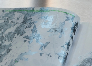 Marguerite Humeau, Surface Horizon, 2021.