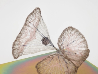 Marguerite Humeau, release of gravity, 2024.