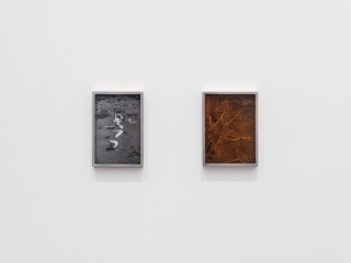 Marguerite Humeau, Dust, 2024. Photo © White Cube (Jeon Byung Cheol).