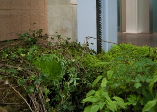Marguerite Humeau, Levitation, 2021.