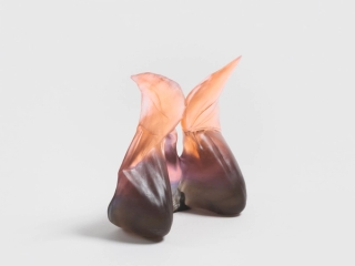 Marguerite Humeau, The Echolocation Maintainer: the one whose voice becomes the sonic thread holding the colony together in darkness, weaving connection from vibration - understanding that sometimes love is just making sure everyone can find their way back., 2025.