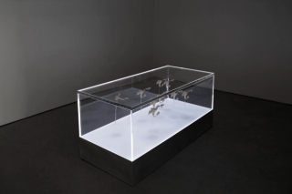 Marguerite Humeau, The Dead, The Dancers, and The Air, A shoal of fish performing a breathing ritual in an attempt to bring their dead back to life, 2022.