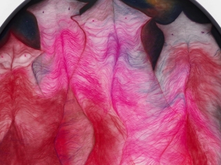 Marguerite Humeau, Translucidency: the courage of flatworms whose organs glow through their skin, the willingness to be seen without shields - a vulnerability made possible only when darkness removes the need to hide., 2025.