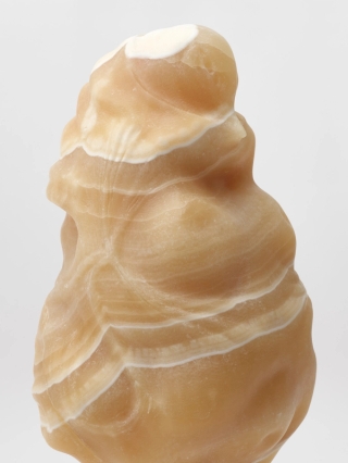 Marguerite Humeau, Daphnia, 2025.