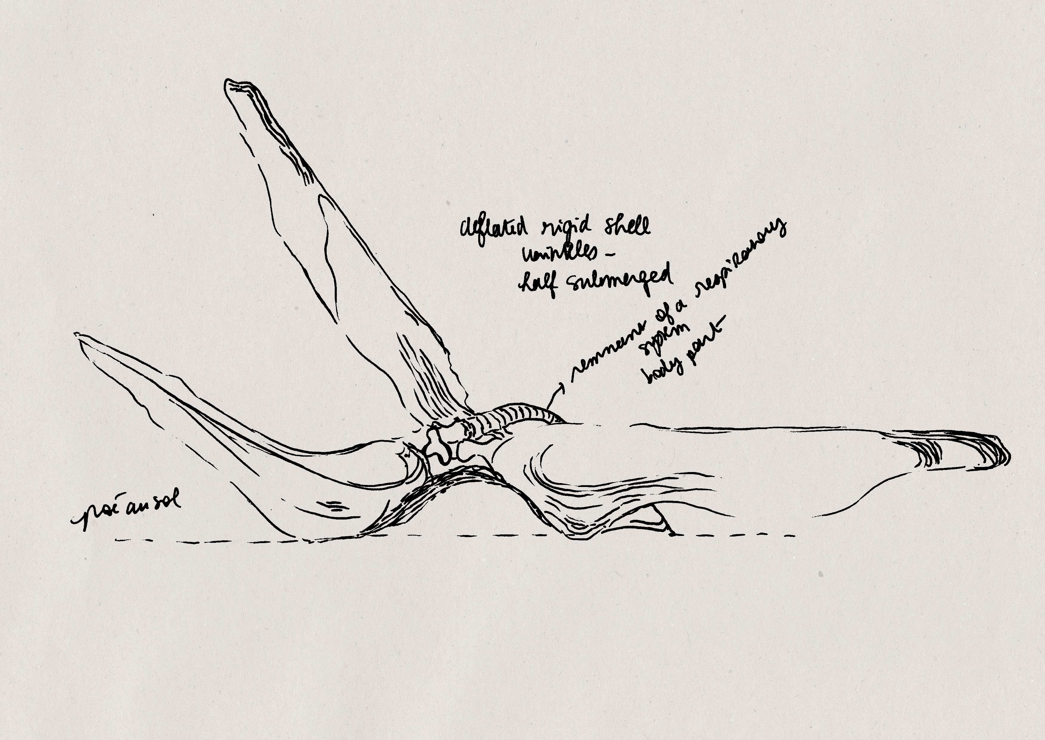 Preparatory sketch for Mist