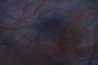 Marguerite Humeau, An Electrical Impulse, 2022.