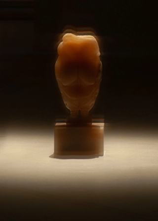 Marguerite Humeau, Torches, 2025. Julia Andréone.