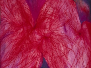 Marguerite Humeau, IV - The pulse intensified, 2023.