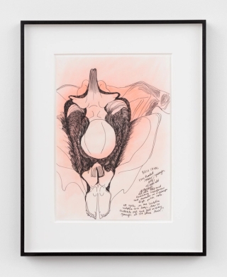 Marguerite Humeau, Two-Headed Venus, A 25-year-old pregnant femalehuman and herself as a 90 year-old have ingested a tortoise's brain (young Venus), 2018.