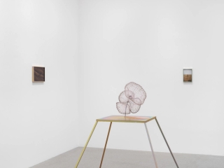 Marguerite Humeau, Dust, 2024. Photo © White Cube (Jeon Byung Cheol).