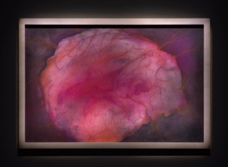 Marguerite Humeau, Energy Flows, 2022. JSP Art Photography.