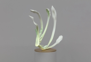 Marguerite Humeau, Eleusis, The desire to care less about things, to loosen your grip on your life, to hold your life playfully like a volleyball. Inspired by the plant Fumaria that bears the signature of blood vessels and supports blood activation., 2022.