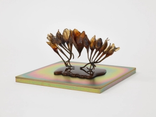 Marguerite Humeau, dead skins, 2024.