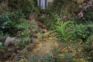 Marguerite Humeau, Surface Horizon, 2021. Alexia Vénot.