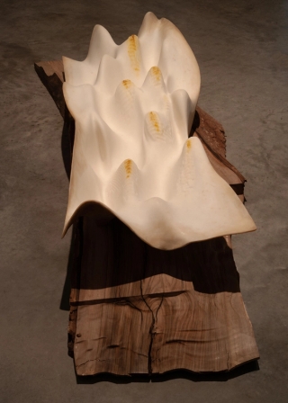 Marguerite Humeau, meys, 2023. White Cube (Julia Andréone