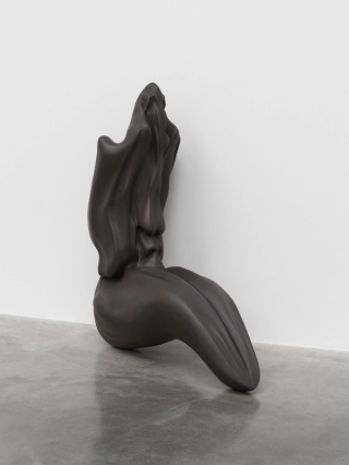 Marguerite Humeau, Venus of Courbet, A 80-year-old female human has ingested the brain of a swallow, 2018.