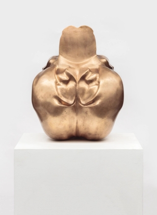 Marguerite Humeau, Seated Lady of Çatalhöyük, A 40-year-old female human has ingested the brain of a hedgehog, 2018.