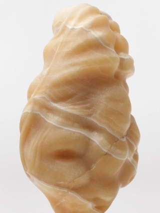Marguerite Humeau, Daphnia, 2025.