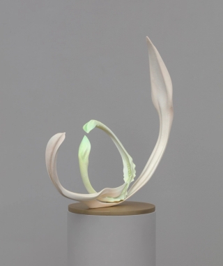 Marguerite Humeau, Yuyi, The desire to feel intensely again, the wish you could see things with a fresh eye. Inspired by the plant Fumaria, that bears the signature of blood vessels and supports blood activation., 2022.