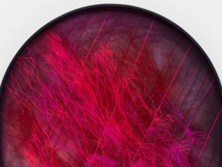 Marguerite Humeau, Noctilumen: the radiance of thin roots lit by microbial films, fragile strands glowing in absolute dark, a refusal to disappear, a brightness that exists only because darkness sharpens it., 2025.