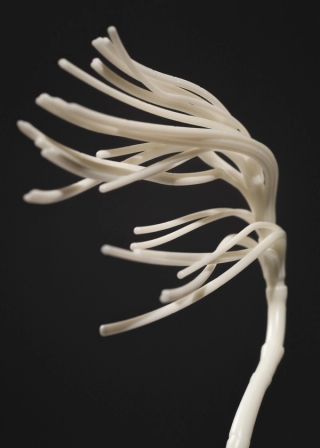 Marguerite Humeau, Surface Horizon, 2021. Julia Andréone