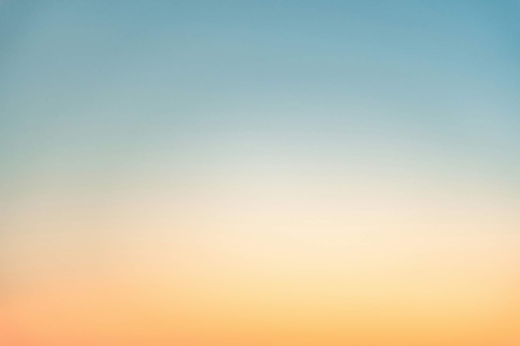 Fallback Image