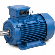 Three Phase Induction Motors