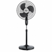 Pedestal Fans