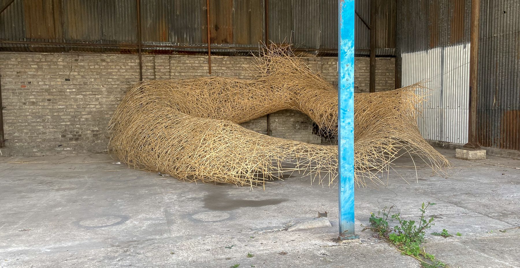 Les freres tasseaux-galerie