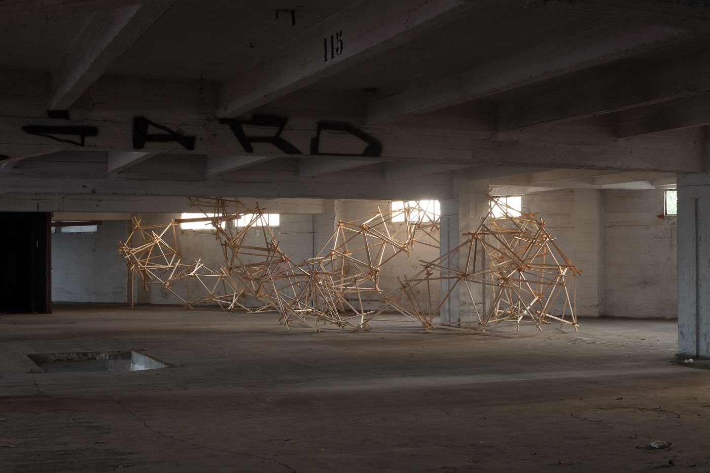 Les freres tasseaux-galerie