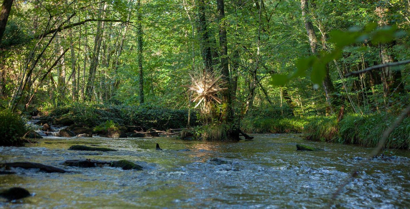 Les freres tasseaux-galerie